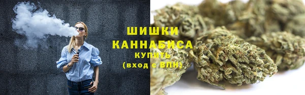 дживик Долгопрудный