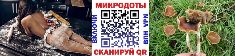 KRAKEN ссылки  Орёл  Псилоцибиновые грибы прущие грибы 